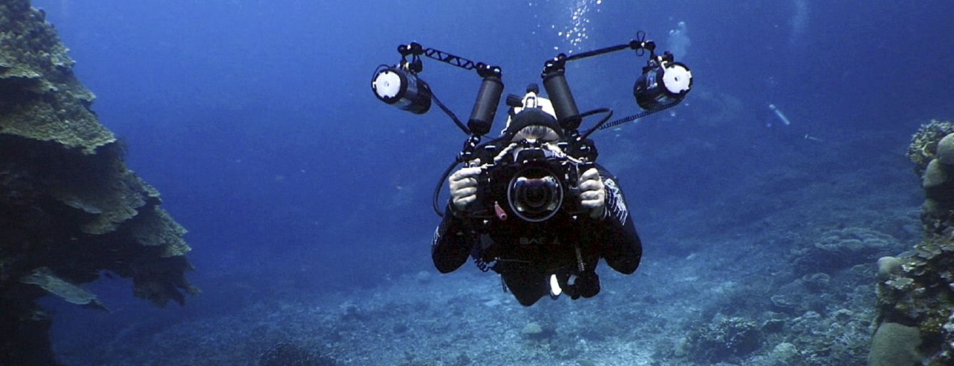 scuba diving tours san francisco
